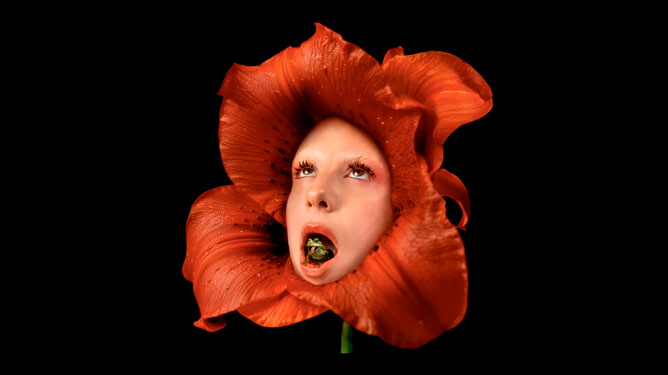 adelaila